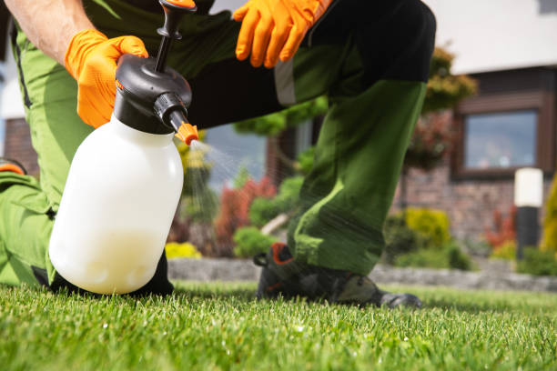 Best Mosquito Control Services  in Carbon Cliff, IL