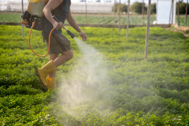 Reliable Carbon Cliff, IL Pest Control Solutions